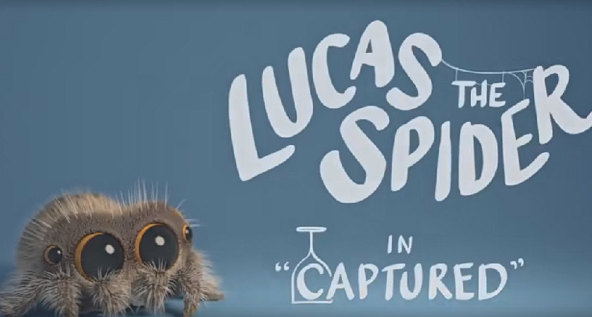 《Lucas the Spider》小蜘蛛卢卡斯 全34集 中英文字幕 百度网盘下载！早教启蒙-幼小衔接-小初高资料盼盼学堂