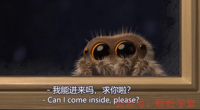 图片[3]早教启蒙-幼小衔接-小初高资料《Lucas the Spider》小蜘蛛卢卡斯 全34集 中英文字幕 百度网盘下载！早教启蒙-幼小衔接-小初高资料盼盼学堂