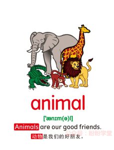 幼儿早教启蒙英语闪卡【动物类】 共67张 可下载打印！早教启蒙-幼小衔接-小初高资料盼盼学堂