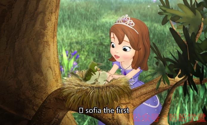 图片[4]早教启蒙-幼小衔接-小初高资料《Sofia the First》小公主苏菲亚 全96集 外挂英文字幕！早教启蒙-幼小衔接-小初高资料盼盼学堂