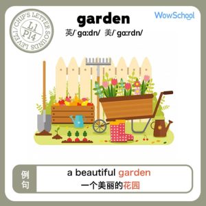 牛津树识词卡 共34张 百度网盘下载！早教启蒙-幼小衔接-小初高资料盼盼学堂