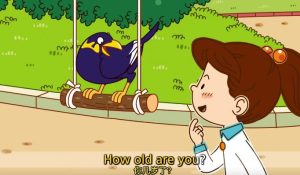 英语日常对话 中英字幕 共43集 视频+音频 百度网盘下载！早教启蒙-幼小衔接-小初高资料盼盼学堂