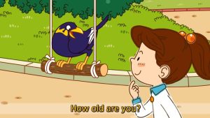 英语日常对话 英文字幕 共43集 百度网盘下载!早教启蒙-幼小衔接-小初高资料盼盼学堂